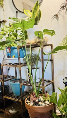 Kona International Airport by null