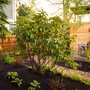 Photo of Greencliff Landscape Company