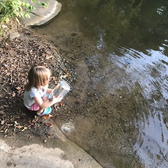 Stone Mountain Campground - Catching minnows at site 389 - Campgrounds Near Me - Stone Mountain, Georgia