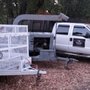 Photo of Benjamins Tree Service