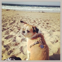What'chu lookin' at Willis?