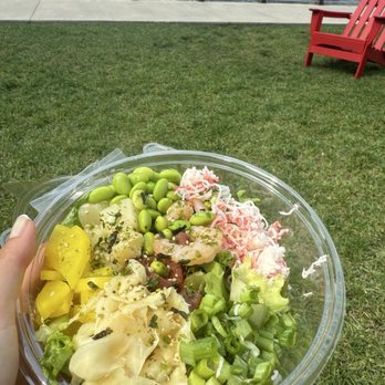 Poke Poké - Poke salad - Poke Near Me - Chicago, Illinois Poke Poké - Poke salad - Poke Near Me - Chicago, Illinois