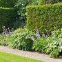 Photo of Garden Shop Landscaping