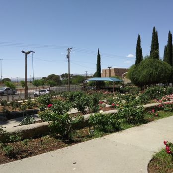 Rose Garden - Botanical Gardens Near Me - El Paso, Texas