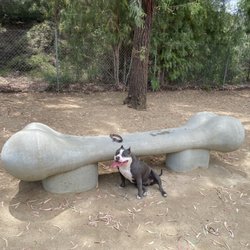 College View Park - Dog park benches