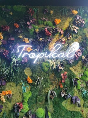 Tropikàl by null