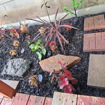 Matt's Lawn Maintenance - Lawn Services Near Me - Tom Bean, Texas Matt's Lawn Maintenance - Lawn Services Near Me - Tom Bean, Texas