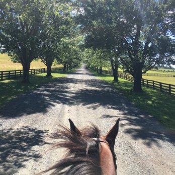 River Chase Farm - Horseback Riding Near Me - Aldie, Virginia