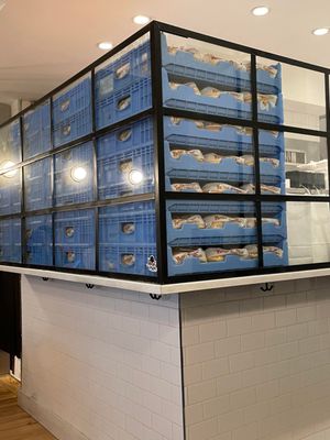 7th Street Burger Williamsburg by null