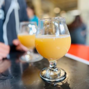 Dog Friendly Eats In SoCal