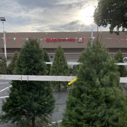 KLM Tree Farm - Noble firs, Douglas firs, grand firs