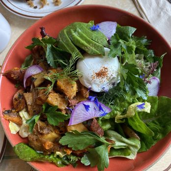 Honey Hi - Breakfast Bowl - Cafes Near Me - Los Angeles, California Honey Hi - Breakfast Bowl - Cafes Near Me - Los Angeles, California