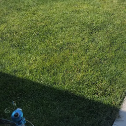 TruGreen Lawn Care - Find lawn treatment suited to your grass's growing conditions with TruGreen in Rapid City, SD, and nearby Black Hawk.