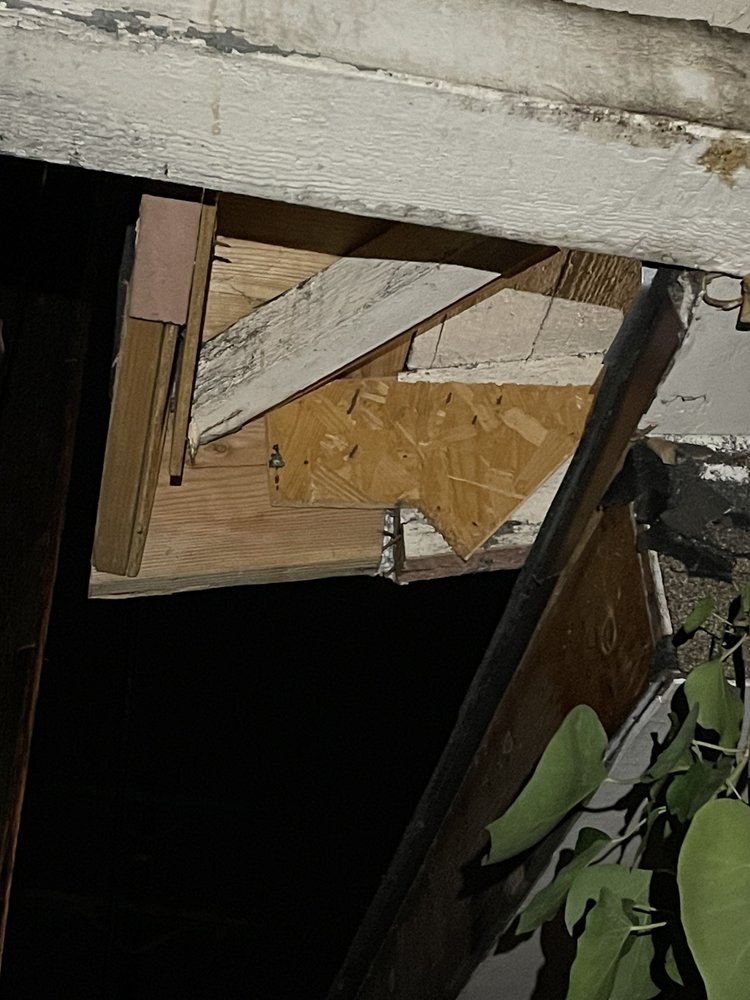 Slide of Eco Systems