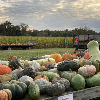 Red Wagon Farm - Attraction Farms Near Me - Manalapan Township, New Jersey Red Wagon Farm - Attraction Farms Near Me - Manalapan Township, New Jersey