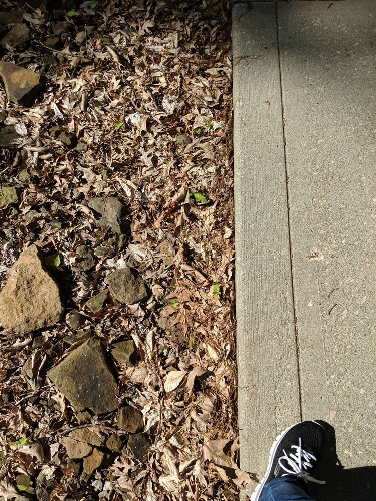 MATTINGLY’S LANDSCAPE Updated May 2024 43935 Commerce Ave