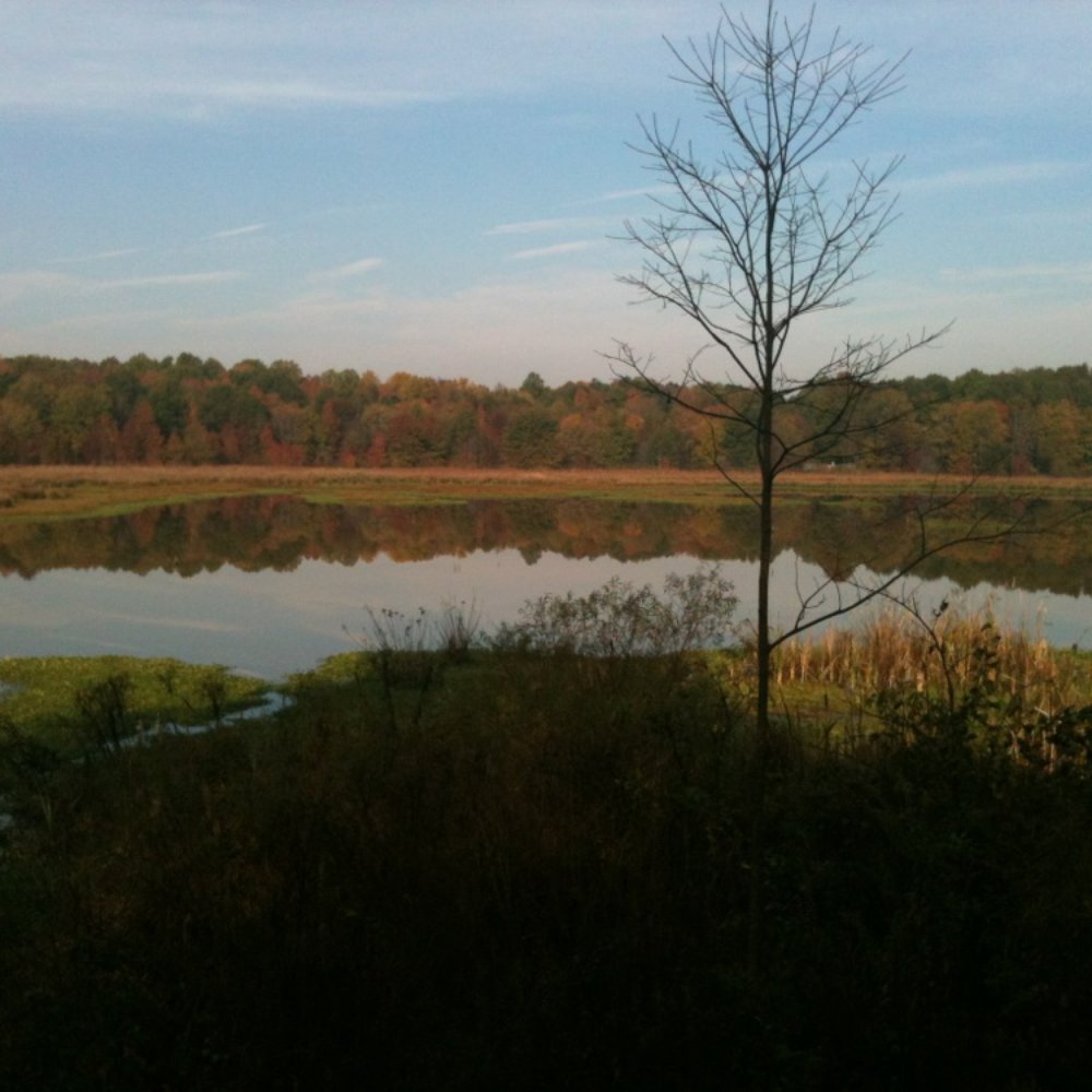 Huntley Meadows Park - Parks Near Me - Alexandria, Virginia Huntley Meadows Park - Parks Near Me - Alexandria, Virginia