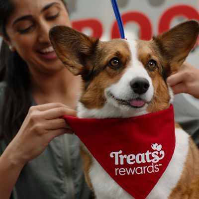 PetSmart by null