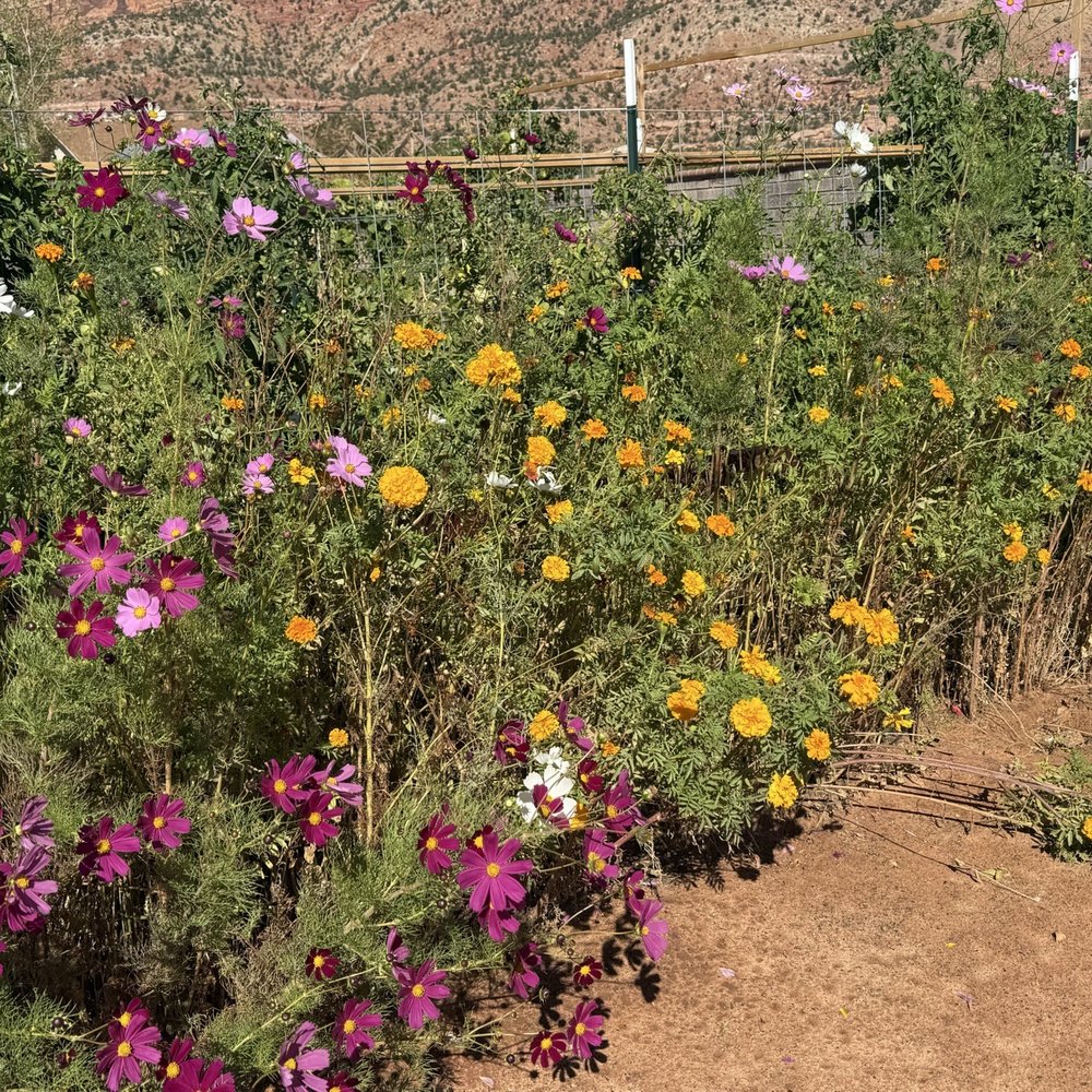 Zion Cliff Lodge - Flower garden - Hotels Near Me - Hildale, Utah Zion Cliff Lodge - Flower garden - Hotels Near Me - Hildale, Utah
