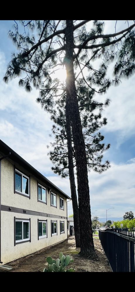 Slide of PRO Builder Inc.