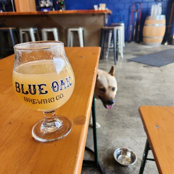 Blue Oak Brewing Company - Peekaboo.. - Breweries Near Me - San Carlos, California Blue Oak Brewing Company - Peekaboo.. - Breweries Near Me - San Carlos, California