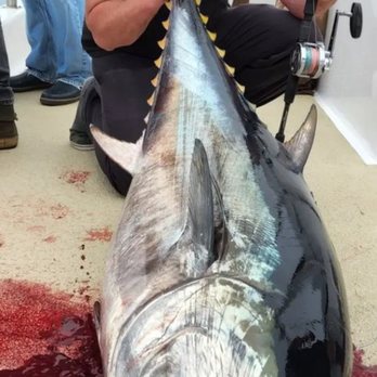 Evike Fishing - First bluefin on my speed jigging setup I got from fishing evike - Fishing Near Me - Alhambra, California