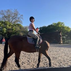 AAA Equestrian