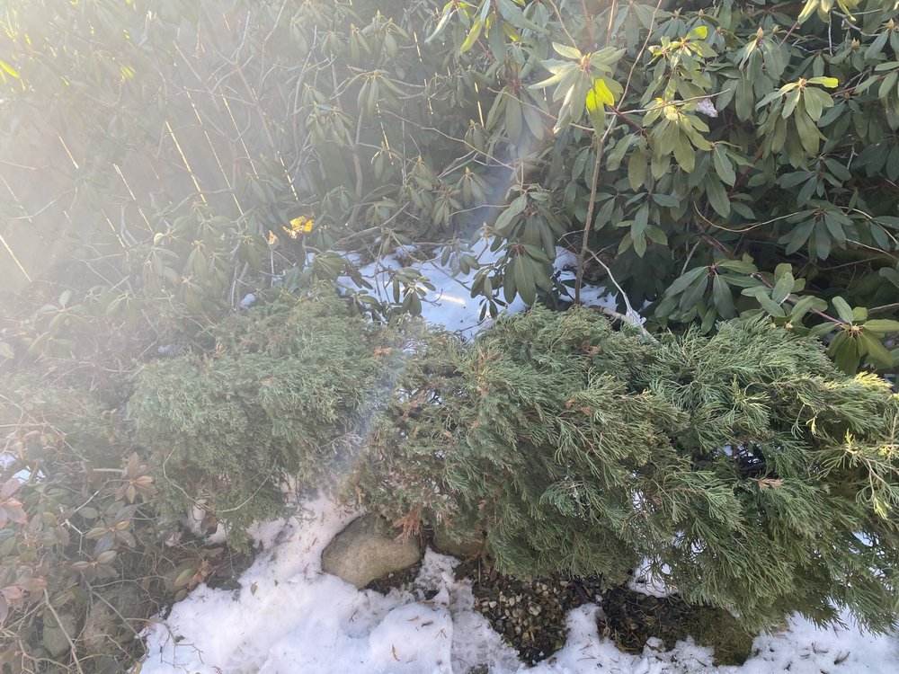 Slide of Curt’s Services