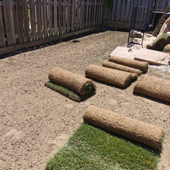 ZEC Sealing & Landscaping - several rolls of turf laid out on the ground - Landscaping Near Me ZEC Sealing & Landscaping - several rolls of turf laid out on the ground - Landscaping Near Me