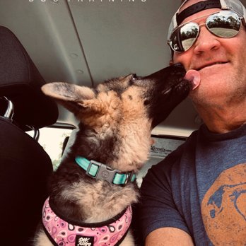 Oceans K9 Dog Training - Love from Willow 4mt old German Shepherd. - Pet Training Near Me - Naples, Florida