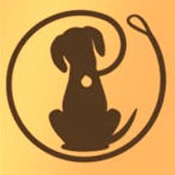 South Shore Dog Walkers