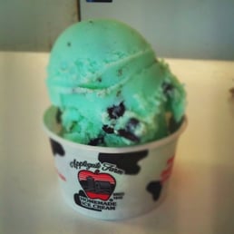Mint Chocolate Chip Ice Cream