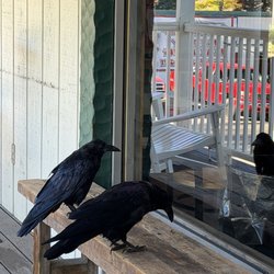 Ken's Market - Local visitors
