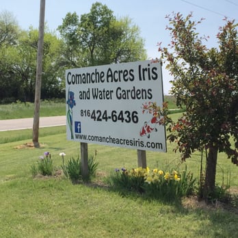 Comanche Acres Iris Gardens - Nurseries & Gardening Near Me - Gower, Missouri Comanche Acres Iris Gardens - Nurseries & Gardening Near Me - Gower, Missouri