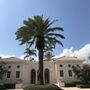 Photo of South Florida Tropical Tree Care and Landscape Services