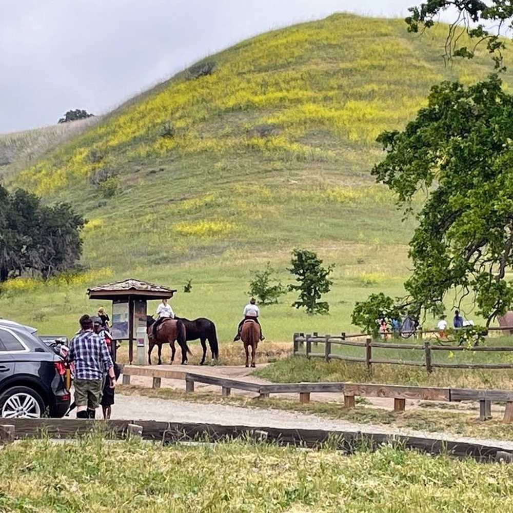 Cheeseboro and Palo Comado Canyon - Horseback riders - Hiking Near Me - Agoura, California Cheeseboro and Palo Comado Canyon - Horseback riders - Hiking Near Me - Agoura, California