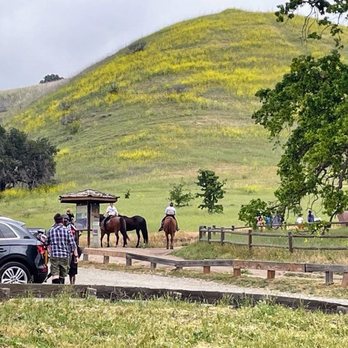 Cheeseboro and Palo Comado Canyon - Horseback riders - Hiking Near Me - Agoura, California
