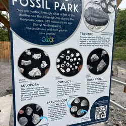 Fossil Park - Types of fossils