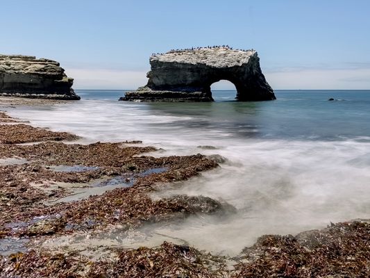 Natural Bridges State Beach by null