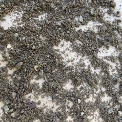 Conner Sand & Gravel - Grabbed a handful, dropped it on a piece of cardboard for a better look. If you hold some & rub it between your fingers, it is ALL SAND GRIT
