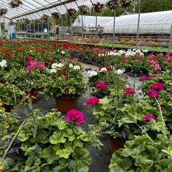 Sokolowski Greenhouses - Sokolowski's