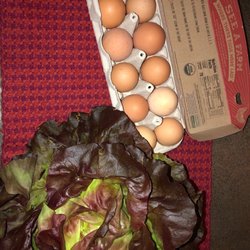 Whipstone Farm - Gorgeous lettuce and eggs...