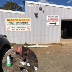 Barter & Son - Front of shed