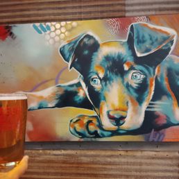 Doggie eyeing my cherry kolsch! Doggie eyeing my cherry kolsch!