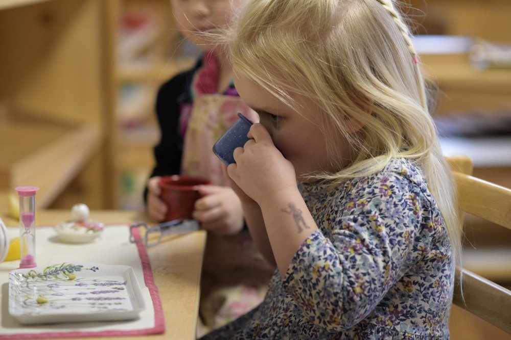 Many Rivers Montessori - childcare center in Duluth, MN