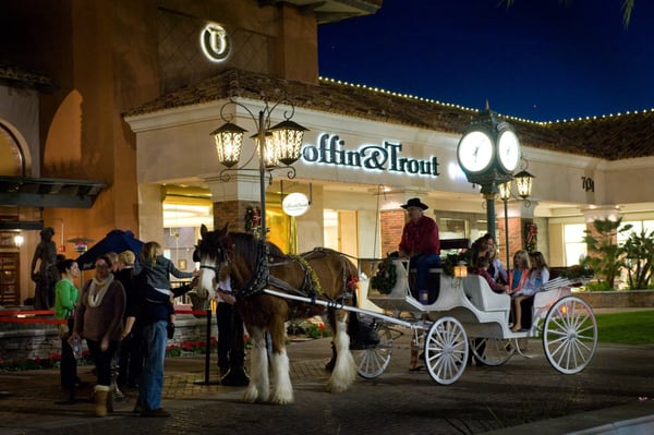 The Shoppes at Casa Paloma by null