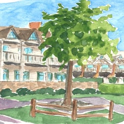 Baron's Cove