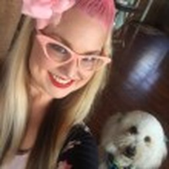 The Pink Poodle - Dog Walkers Near Me