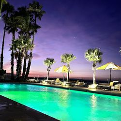 The Beachcomber Hotel - Poolside sunset