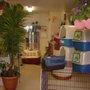 Photo of Animalerie Toutou D'Amour